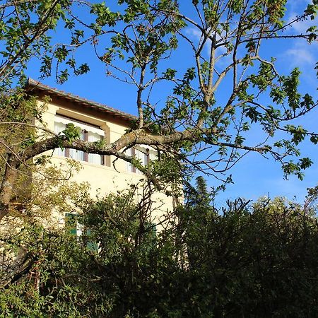 كاستيلّينا إنْ كْيانت Villa Cristina المظهر الخارجي الصورة